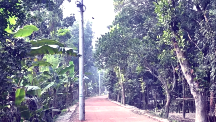 কুষ্টিয়ার খোকসায় নিম্নমানের খোয়া ব্যাবহার ও বৈদ্যুতিক খুঁটি মাঝে রেখেই বাড়ানো হচ্ছে সড়ক