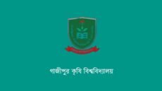 গাজীপুর কৃষি বিশ্ববিদ্যালয়ের ১২ শিক্ষার্থীর আন্তর্জাতিক বৃত্তি লাভ