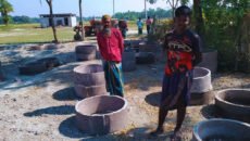 রাঙ্গাবালীতে জনস্বাস্থ্য প্রকৌশল অধিদপ্তরের ল্যাট্রিন নির্মাণে ভাঙন ও দুরবস্থা