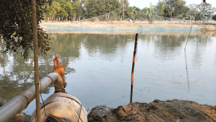নান্দাইলে অবসরপ্রাপ্ত পুলিশকে মারধর ও দিঘির মাছ নিধনের অভিযোগ