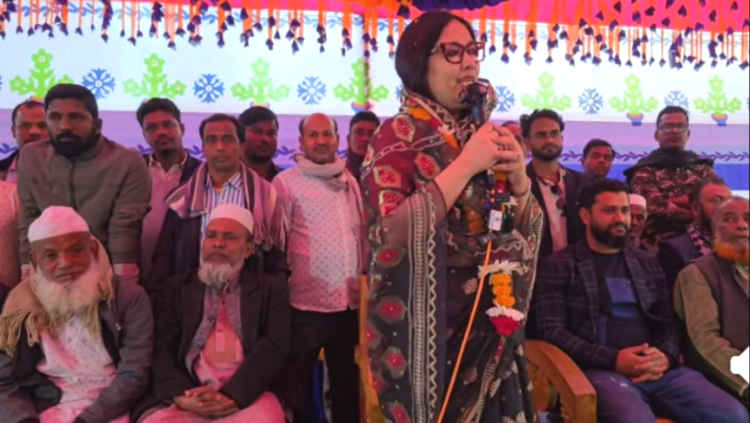 সংসদে আমি করতে পারি, তা আপনারা দেখেছেন। ব্যারিস্টার রুমিন ফারহানা