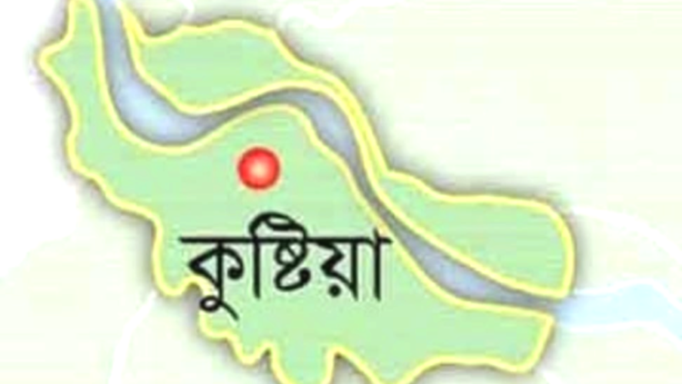 নির্বাচনে সবাই যাতে অংশ নিতে পারেন, কুষ্টিয়ায় খাদ্য উপদেষ্টা