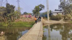 ঠাকুরগাঁওয়ে শহরের কাছেই অবহেলিত জনপদ: বাঁশের সাঁকোই যখন দুই হাজার মানুষের একমাত্র ভরসা