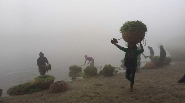 পঞ্চগড়ের তাপমাত্রা নামল ৮ ডিগ্রিতে