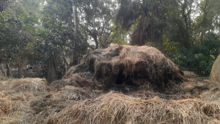 নওগাঁর মহাদেবপুরে জমি নিয়ে বিরোধকে কেন্দ্র করে প্রতিপক্ষের বিরুjদ্ধে খড়ের পালায় আগুন