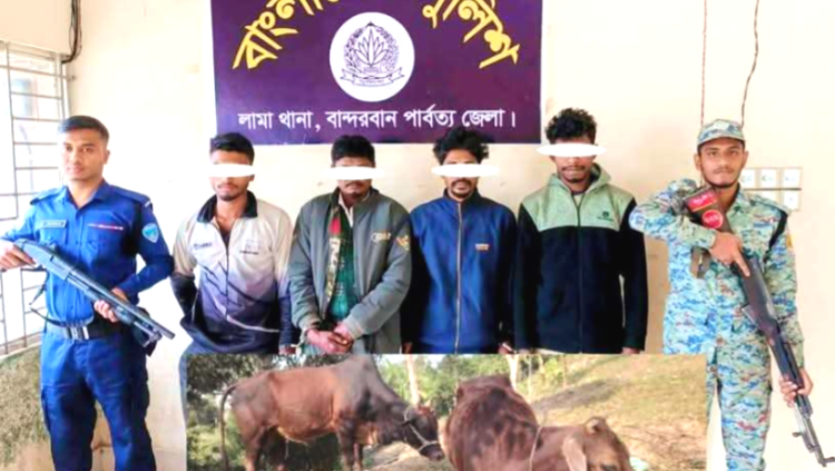 লামায় চোরাইকৃত দুইটি গরু ও টাকা উদ্ধার