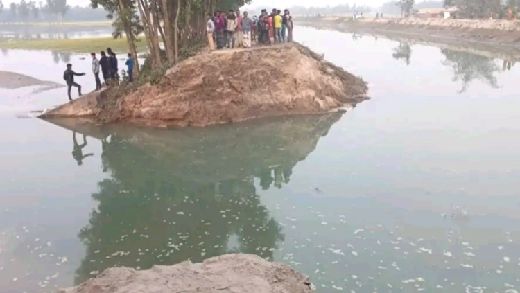 তিস্তা সেচ প্রকল্পের বাঁধ ভেঙে নীলফামারীতে পানির নিচে ৫০০ বিঘা ফসলি জমি