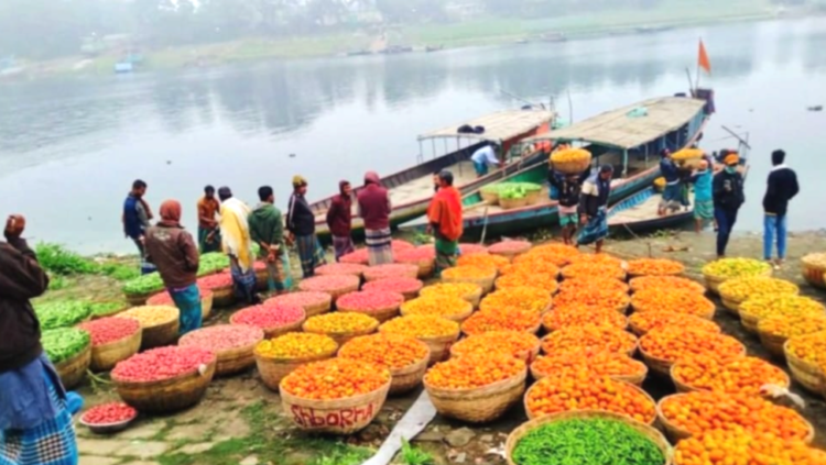 শ্রীপুরের  ঐতিহাসিক বরমী বাজারে শীতকালীন সবজির জমজমাট হাট