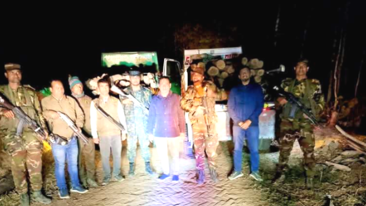 লামায় যৌথ বাহিনীর অভিযানে সেগুন গাছ জব্দ