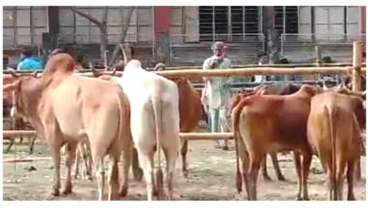 নাইক্ষ্যংছড়িতে চোরাচালান সিন্ডিকেটের বিস্তার