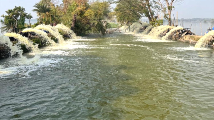 প্রশাসনের নির্দেশনা অমান্য করে ঘেরের পানি নিষ্কাশন অব্যহত, বোরো চাষীরা বিপাকে