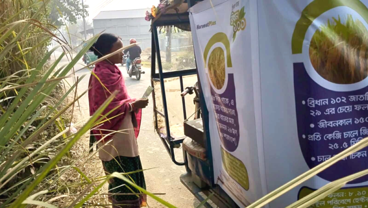 ঠাকুরগাঁওয়ে মাইকিংয়ের মাধ্যমে জিংক ধান ও গমের সম্প্রসারণে সপ্তাহব্যাপী প্রচারণা