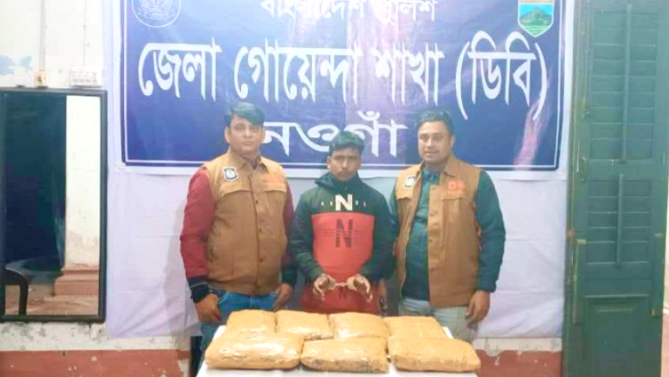 নওগাঁয় সাত কেজি গাঁজাসহ আটক-১