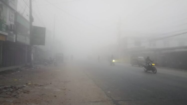 যশোর জানো ঘিরে রেখেছে কুয়াশায়