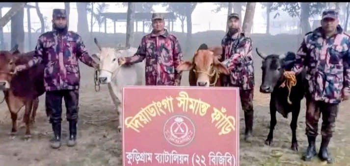 কুড়িগ্রাম সীমান্তে ২৯ লাখ টাকার চোরাচালানি পণ্যসহ গরু-মহিষ ও মাদক জব্দ
