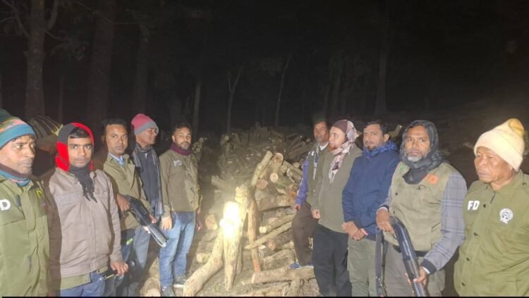 আলীকদমে ইটভাটায় বন বিভাগের অভিযান: ২০০০ ঘনফুট জ্বালানি কাঠ জব্দ