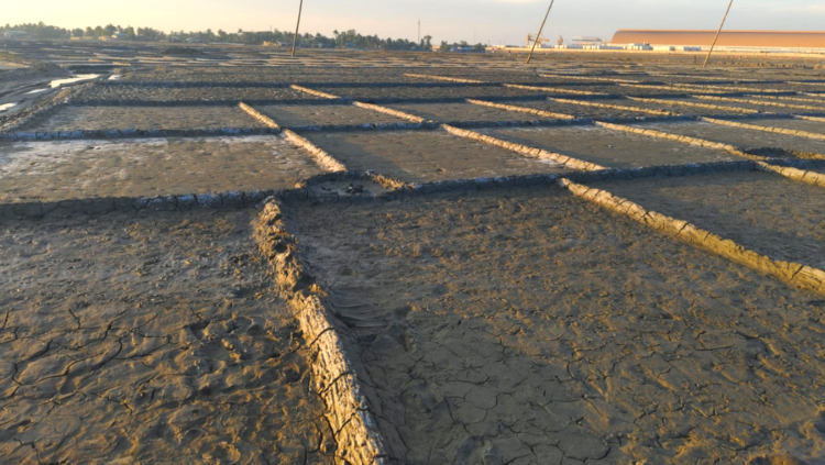 মহেশখালীতে লবণ উৎপাদনের মৌসুমেও মাঠে নেই চাষি, গর্তে পড়ে আছে শত শত মণ লবণ