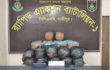 গাজীপুরে র‍্যাবের অভিযানে ১১৮ কেজি গাঁজাসহ নারী মাদক কারবারি গ্রেপ্তার