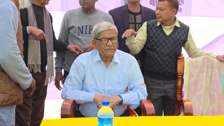 দেশে শুধু দুটোই মার্কা, নৌকা আর ধানের শীষ// দাঁড়িপাল্লা কিন্তু স্বাধীনতার বিপক্ষে ছিল।  মির্জা ফখরুল ইসলাম