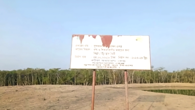 বন্যপ্রাণীর নিরাপদ আশ্রয়ের জন্য সুন্দরবনে তৈরি করা হয়েছে সাত টাইগার টিলা