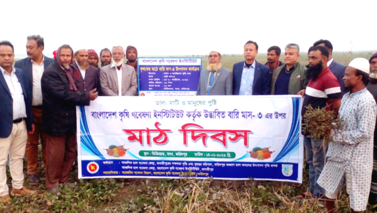 ফরিদপুরে বারি মাশকালাই-৩ ও ৪ জাতের উৎপাদন-প্রযুক্তি শীর্ষক মাঠ দিবস ও কৃষক সমাবেশ