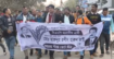 চাঁপাইনবাবগঞ্জ-৩ আসনে ধানের শীষের পক্ষে বিএনপির প্রচারণা মিছিল