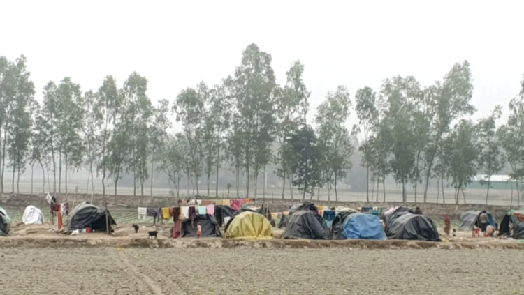 প্রচণ্ড ঠান্ডায় মানবেতর জীবন যাপন করছে বেদে পরিবার