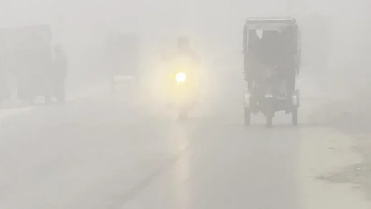 দেশের ৪ বিভাগসহ ১২ জেলায় বইছে শৈত্যপ্রবাহ