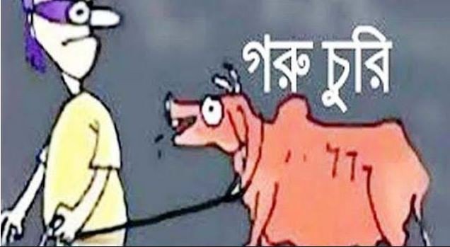 ফুলবাড়িয়ায় এক কৃষক এর দশ গরু চুরি! আতঙ্কে এলাকাবাসী