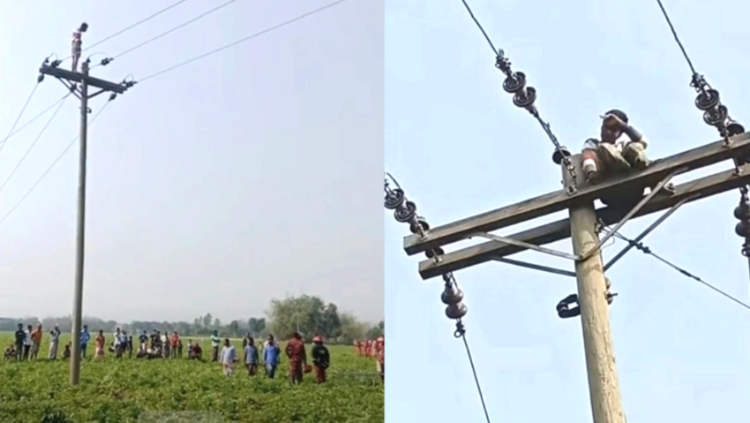 মোবাইল ফোন না পেয়ে বিদ্যুতের খুঁটিতে উঠে বাকপ্রতিবন্ধী কিশোরের আত্মহত্যার চেষ্টা