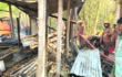 কুষ্টিয়ায় মাদকাসক্ত ছেলের দেওয়া আগুনে পুড়লো বসতঘর