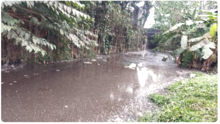 শ্রীপুরে শহীদ জিয়ার  হাতে খনন করা খাল এখন অস্তিত্ব সংকটে