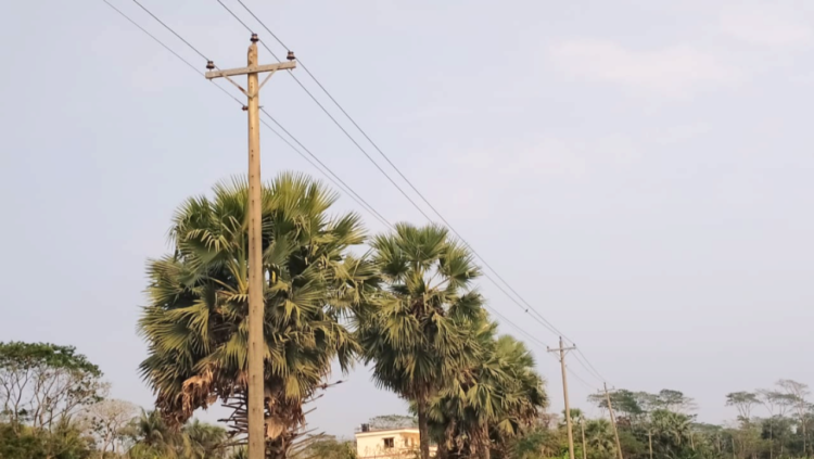 রাঙ্গাবালীর বড়বাইশদিয়ায় বিদ্যুৎবঞ্চিত ৫০ পরিবার, আবেদন করেও মিলছে না সংযোগ