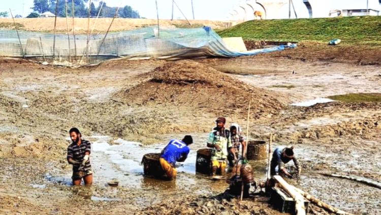 শাল্লায়  দিনেদুপুরে  বিল শুকিয়ে  মাছ আহরণ