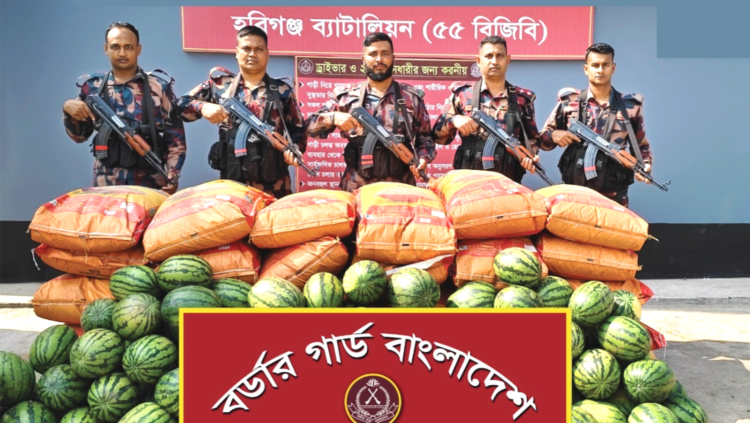 তরমুজের নিচে লুকিয়ে পাচারকালে ১৬ লাখ টাকার ভারতীয় জিরা জব্দ