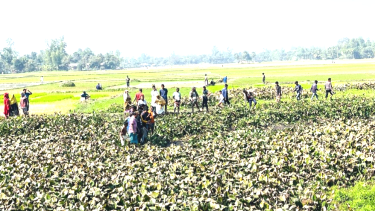 আদমদীঘিতে ডোবায় ভাসছিল লাশ, আতঙ্কে এলাকাবাসী