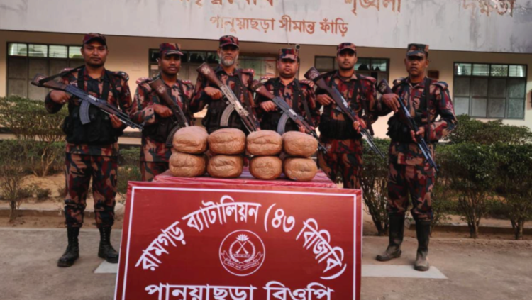 রামগড় বিজিবির অভিযানে ২৪ কেজি ভারতীয় গাঁজা জব্দ