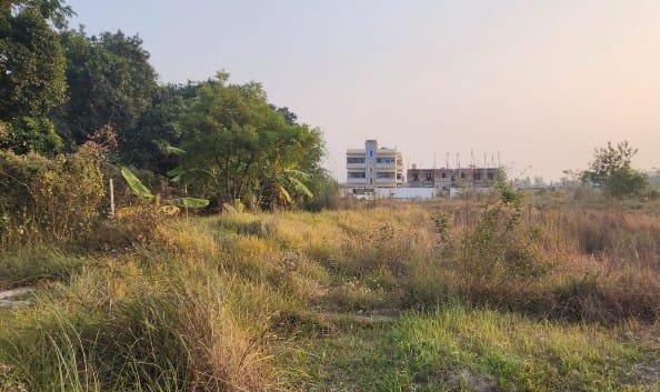 লৌহজংয়ে ভিপি কেসভুক্ত সরকারি জমি আত্মসাতের অভিযোগ,প্রশাসনের হস্তক্ষেপ কামনা তদন্তের দাবি