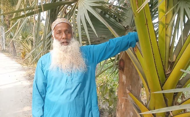 বজ্রপাত রুখতে ১ লক্ষ ২৪ হাজার তালগাছ রোপন ঠাকুরগাঁওয়ে কৃষক খোরশেদ আলীর অনন্য বিপ্লব