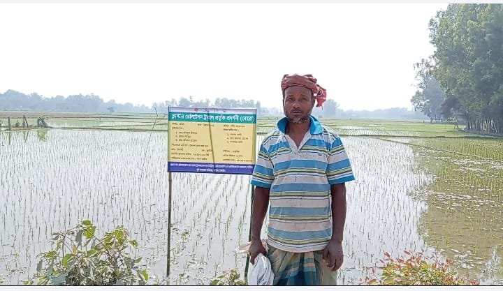 কৃষক লাভবান হবে ১০১ ব্রি ধান চাষ করে