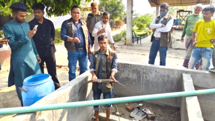 কুষ্টিয়ায় ইউটিউব ভিলেজ পার্ক থেকে ঘড়িয়াল উদ্ধার