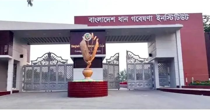 নিয়োগ প্রক্রিয়ায় দুর্নীতি,”মিলন মিয়া জায়গায় সুজা মিয়া” উত্তালয় ব্রি