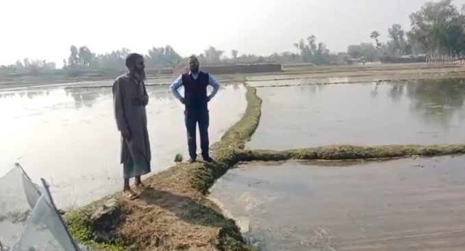 গোবিন্দপুর মৌজার ১৯ বিঘা জমিকে বিজ রোপন করে দখল করার চেষ্ঠা