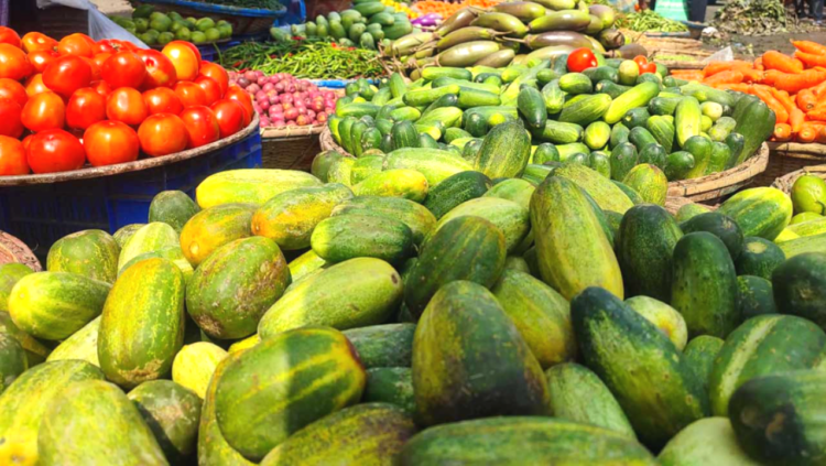 শ্রীপুরে চোখ রাঙ্গাচ্ছে লেবু, শশা এখন বিলাসিতা