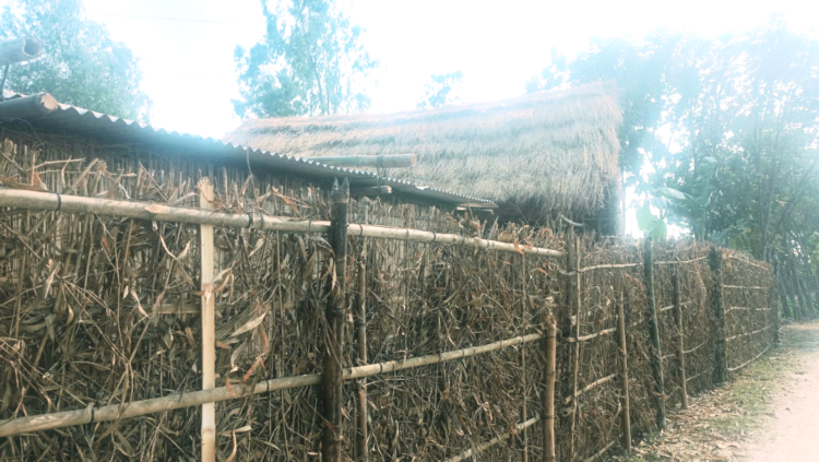 ঠাকুরগাঁওয়ে বৈধ মালিক হয়েও জমি বুঝে পাচ্ছেন না