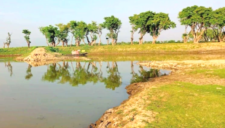 মধ্যনগরে ৯ হাজার হেক্টর জমির ধান তলিয়ে যাওয়ার শঙ্কা