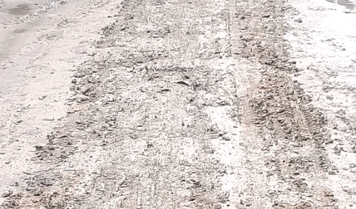 নওগাঁর পত্নীতলায় যত্রতত্র মাটি ফেলায় মরণফাঁদে পরিণত হয়েছে সড়কসমূহ