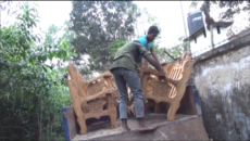 হবিগঞ্জের রেমা-কালেঙ্গা ও সাতছড়ি, বন্যপ্রাণী অভ্যয়ারণ্য থেকে সিন্ডিকেট করে গাছ পাচার