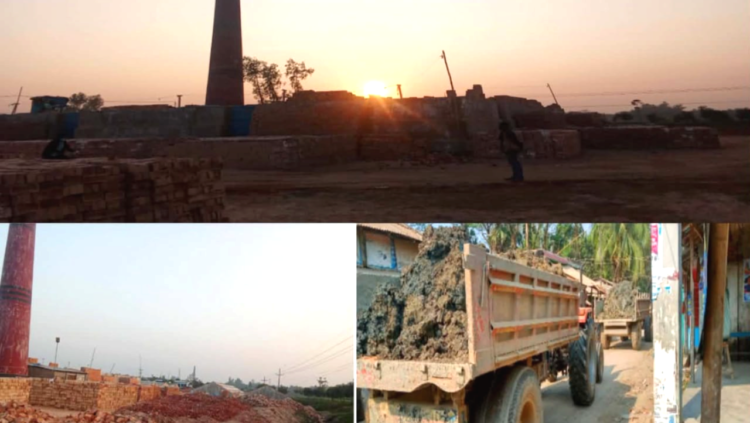 আত্রাইয়ে ইটভাটা গিলে খাচ্ছে ফসলি জমি