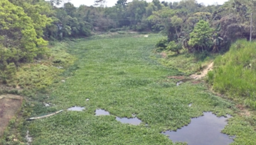 কাঁদছে ইছামতি: এক সময়ের প্রমত্তা নদী এখন বর্জ্যের স্তূপ